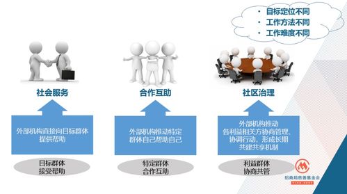 社区发展项目的设计原则与实践经验